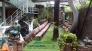 Cỏ nhân tạo golf đẹp; Cỏ nhân tạo style châu âu