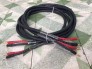 Tân Audio Biên Hoà Dây Loa (ITALY)
