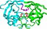 Enzyme Papain chiết xuất từ đu đủ