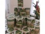 Mầm đậu nành nhau thai cừu0