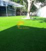 Cần bán thảm cỏ nhân tạo xanh tươi cho trường mầm non, công viên, TTTM