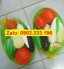 Chuyên cung cấp đồ dùng đồ chơi mầm non
