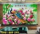 Tranh gạch 3d hoa mẫu đơn - tranh gạch men chim công sứ ngọc