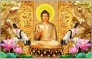 Tranh Đức Phật - Tranh Gạch Men