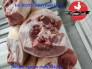 Thịt Lợn Nhập Khẩu Trực Tiếp, An Toàn Nhất, Giá Tốt Nhất