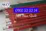 Ray điện cầu trục 60a