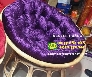 Ghế papasan tphcm giá rẻ