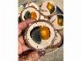Chả da bao bách thảo