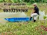 Xuồng nhựa 3m, Xuồng 3 lá, xuồng 5 lá giá rẻ tại Sài Gòn