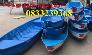 Xuồng nhựa 3m, Xuồng 3 lá, xuồng 5 lá giá rẻ(liên hệ báo giá)