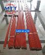 Ray điện hàn quốc 300a