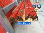 Ray điện an toàn hàn quốc 500a