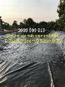 Màng 0.5zem cuộn 250m2 Chống Thấm Nhựa Đen 2 Mặt Hdpe sunco2021
