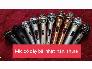 Mic bãi nhật, hàn, mỹ (Shure, Bose...)