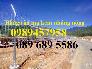 Hàng rào lưới thép hàn phi 5 ô 50*150, 50*200, 75*200 - Lưới thép hàng rào