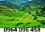 Tranh ruộng bậc thang - gạch tranh 3d - KD33