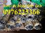 Lưới đỡ bông thủy tinh 1ly a100x100