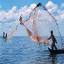 Chài quăng bắt cá Nguyễn Út