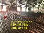 Bán Lưới thép đổ bê tông phi 8 a 200x200, D8 a 200x200 giao hàng sớm