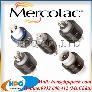Nhà cung cấp Mercotac Việt Nam