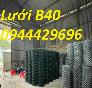 Lưới Rào B40 Mạ Kẽm , B40 Bọc Nhựa Sẵn Kho Giá Sỉ