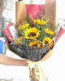 Bó hoa hướng dương 7 bông đẹp - LDNK134