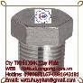Nút bít Ren Ngoài ( Hex plug) DN25 ( phi 34) A105 #3000