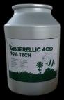 Phân bón Gibberellic acid 90% (GA3 90%) - Trung Quốc