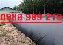 Tấm bạt Hdpe 0.5mm khổ 5x20m 100m2 Dùng Trong Nông Nghiệp