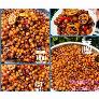 Mận Cơm Sốt Thái - Hộp 500gram