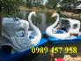 Thiên nga đạp nước 3 chỗ, thuyền đạp nước 4 chỗ khu vui chơi, sinh thái, hồ vườn.