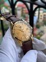 Đồng Hồ RADO Cá Ngựa