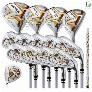 Bộ Gậy Golf Honma Beres Aizu 2 Sao