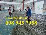 Nơi sản xuất lưới thép phi 10 ô 200x200, 250x250, 100x200, D10 a 200x200, Phi 12 a 200*200