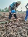 Máy khoan đất,khoan lỗ trồng cây Yikito TU45