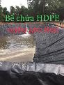Tấm Bạt Hdpe 0.8mm  trải trang trại chăn nuôi khổ 4x50m 200m2-kho Quảng Nam