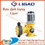 Bơm định lượng hãng Ligao | Ligao Việt Nam