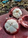 Mangosteen (măng cụt) Farm NhaVuonTaiGia 10kg