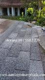 Tấm lợp từ nhựa đường CNX Shingle nhập khẩu, hàng chất giá cạnh tranh