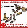 Xi lanh khí nén PNEUMAX tại Việt Nam