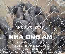 Giá heo rừng lai heo rừng quay nguyên con sữa quay còn sống 