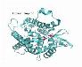 Bán enzyme Amylase, Protease, Cellulase, Lipase, Lactase