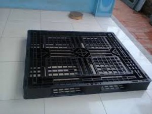 Pallet nhựa cũ