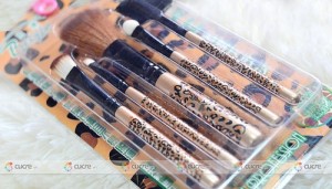 Cọ bộ 5 cây mini