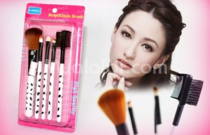 Cọ bộ 5 cây mini