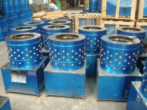 Máy vặt lông gia