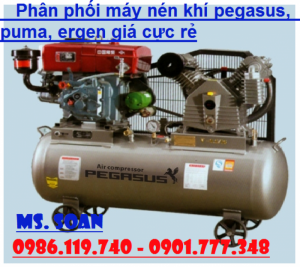 20HP - Máy nén khí đầu nổ D24 PEGASUS TM-W-2.0/12.5-500L, Máy nén khí chạy dầu,