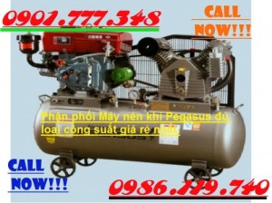 10Hp - Chạy dầu, Máy nén khí PEGASUS 10HP đầu nổ Model: TM- W-1.0/8