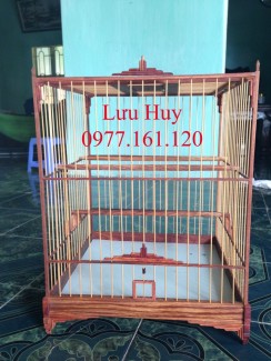 Lồng chào mào đẹp