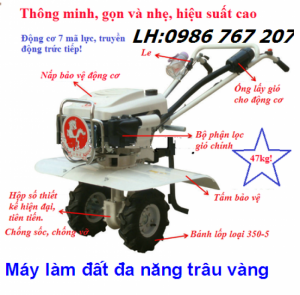 Máy làm đất đa năng hiệu trâu vàng 1WG4 (Đầu 7HP) chạy xăng